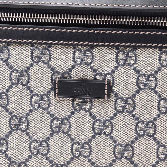 グッチ/GUCCI ボディバッグ GGプラス 233269 kgdix 4075