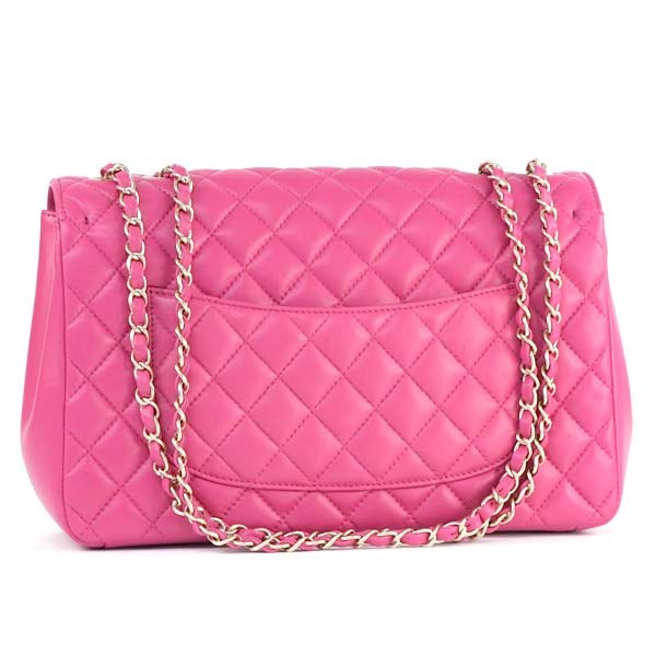 シャネル レディース ショルダーバッグ/シャネル ショルダーバッグ(PK/GR)(CHANEL) A66677