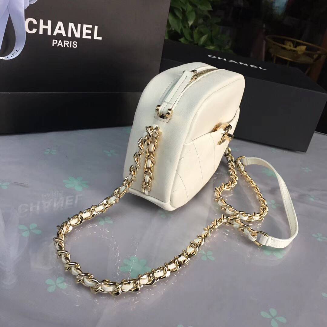CHANEL シャネル 19Cクルーズコレクション カメラ ケース AS0137 Y84158 5B706