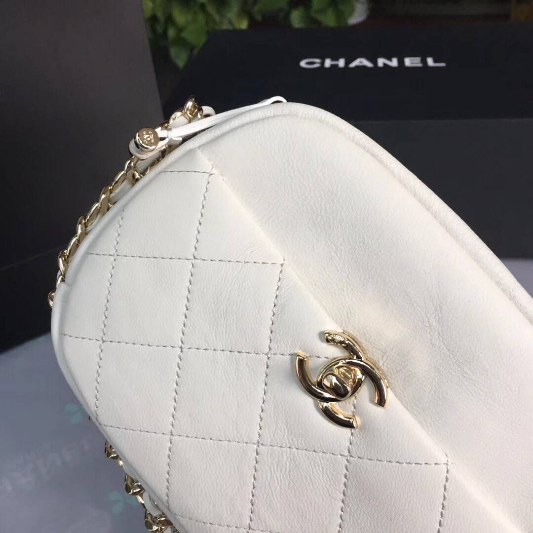 CHANEL シャネル 19Cクルーズコレクション カメラ ケース AS0137 Y84158 5B706