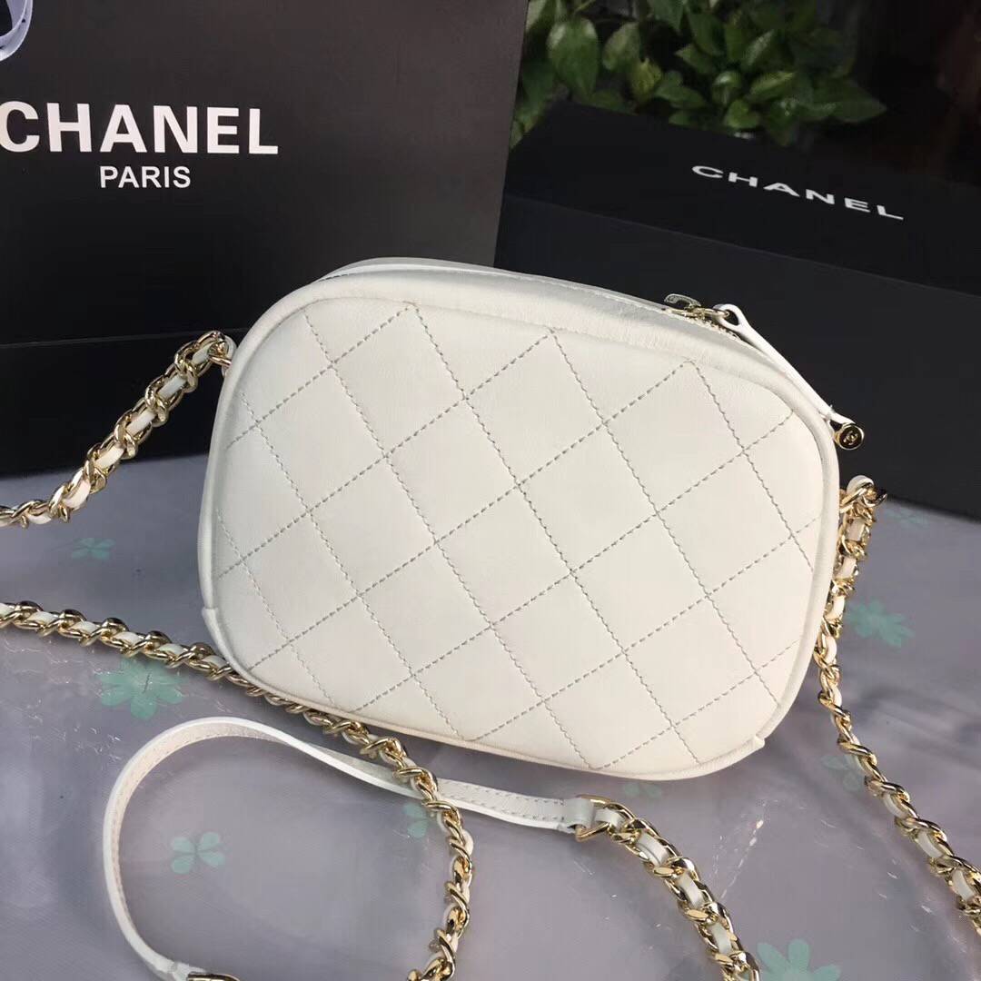 CHANEL シャネル 19Cクルーズコレクション カメラ ケース AS0137 Y84158 5B706