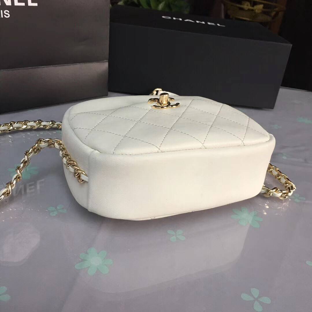 CHANEL シャネル 19Cクルーズコレクション カメラ ケース AS0137 Y84158 5B706